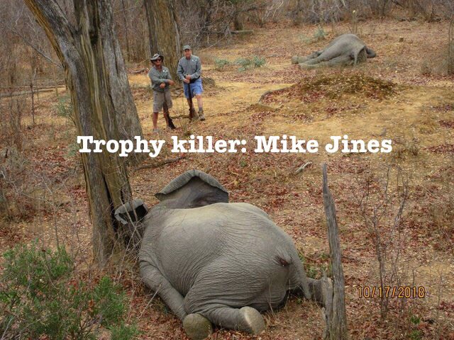 Xpose Trophy Hunting tweet media
