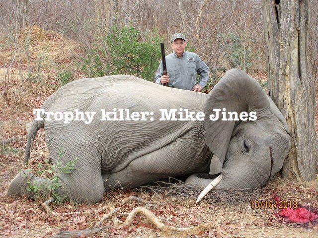 Xpose Trophy Hunting tweet media