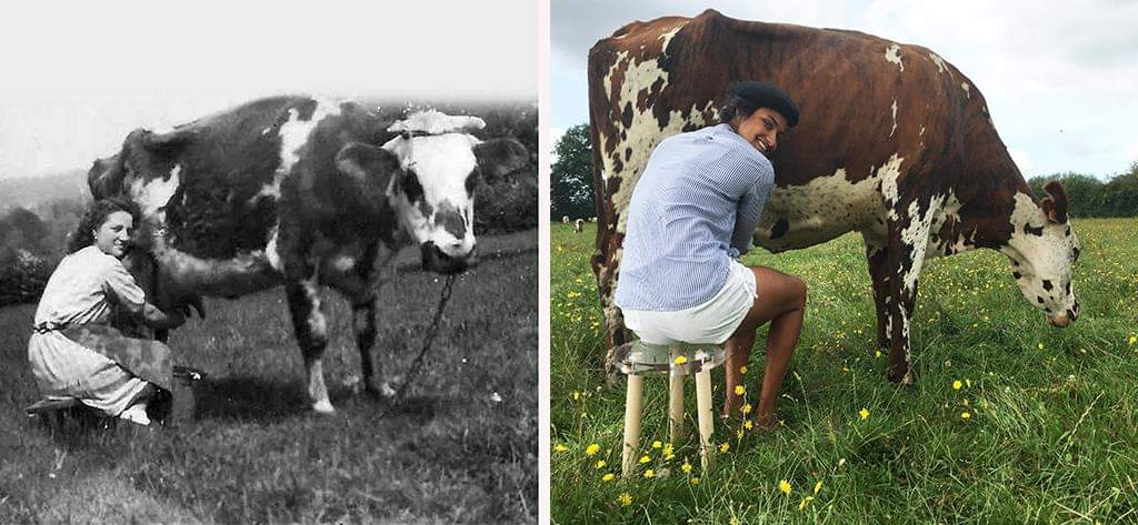 chaisefrancaise's tweet image. Le tabouret aussi a bien changé avec le temps !! 
#10yearschallenge ou peut être un peu plus... 😂😂😂 

@chaisefrancaise

#tabouret #madeinFrance  #design #decoration #France #labellevache #tendance #inspiration