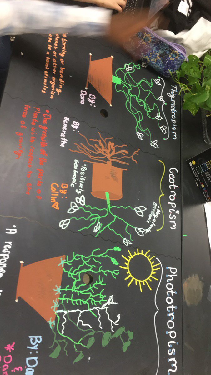 JBMS_Bears's tweet photo. Ms. Griffith's 7th grade science class is studying homeostasis and behavior #scienceROX https://t.co/hTARyuRGca