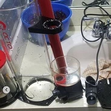 CoralVue's tweet photo. Did a nice thorough cleaning in the sump, skimmer and over flow box.
#coralvue #aquariumequipment #aquariumgear #reefoctopus #octo #reefoctopusskimmer #skimmer #saltwateraquarium #reeftank #aquarium #sump @reeflyfe https://t.co/fdKKg9V50E