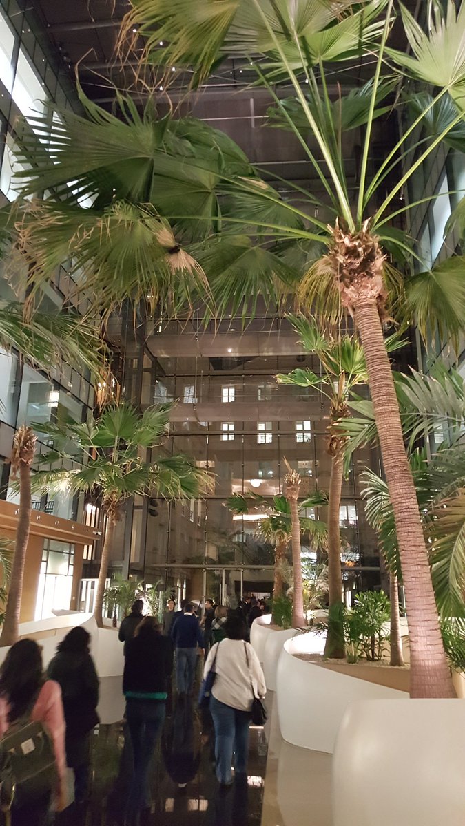 PierreCol's tweet image. Et maintenant le cocktail #DataDrivenParis sous les palmiers de @Bpifrance.