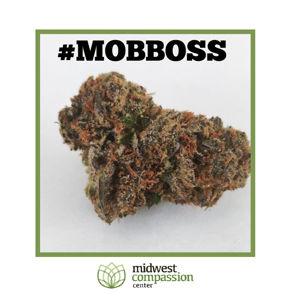 MCCDispensary's tweet photo. Patient Photo!  Product: #MOBBOSS strain - Come check out our variety of strains &amp; Every Wednesday get DOUBLE Cannapoints!  #mobbossstrain #mobboss #doublecannapoints #mcc #midwestcompassioncenter #ilmmj #ilmmjpatients https://t.co/ReD0t18jHM