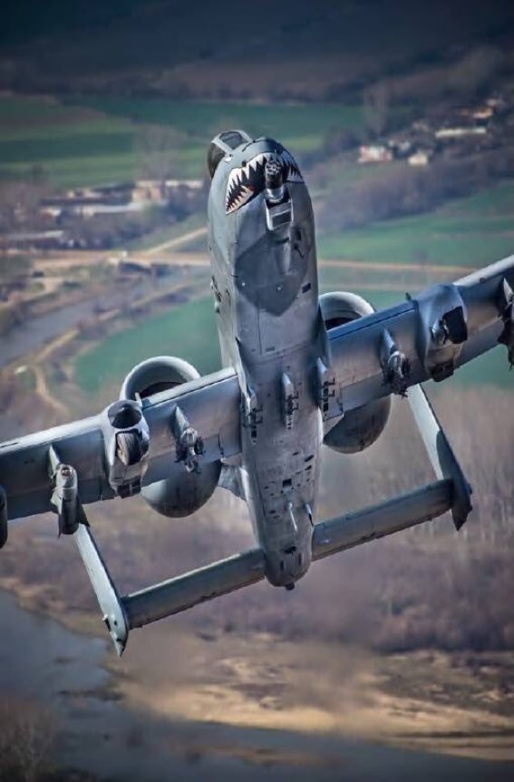 DxDqDLbX0AArUEa.jpg:large