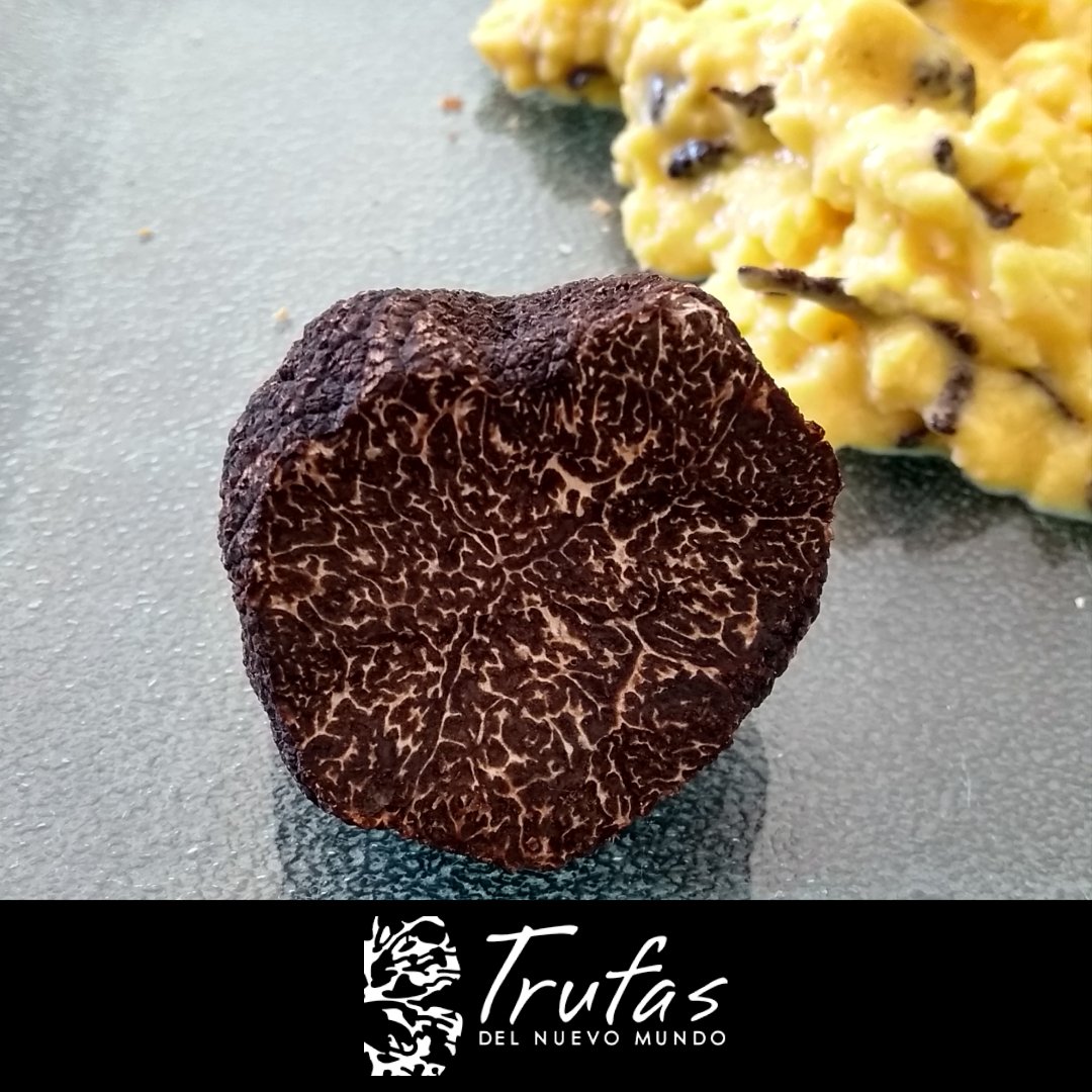 Quizás una de las recetas más irresistibles:  Oeufs brouillés à la truffe.
La simple combinación de #trufanegra con unos magníficos huevos de campo. Se transforma en un plato difícil de olvidar.

#cocinafrancesa #chefslife
