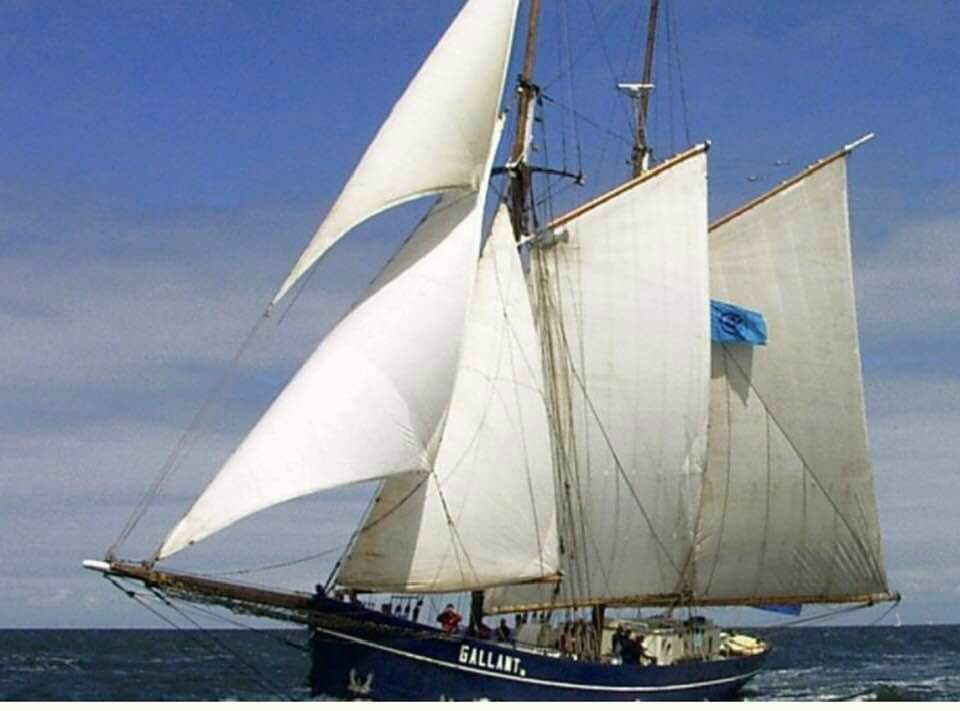 TOWindTransport's tweet photo. Une transatlantique plus tard, les barriques sont bien arrivées #àlavoile à la Barbade.
https://t.co/pQGzgxs2YV
#DeGallant #BySail #CO2free #SeaAgeing https://t.co/D3Wbm33hOZ