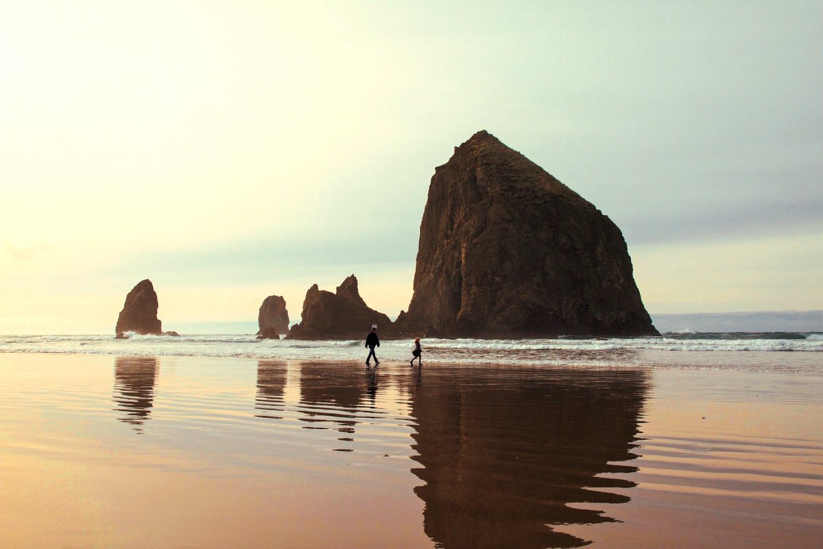 CamGear_'s tweet photo. Is this a beach or a really large piece of glass? 🤔

#beach #sea #ocean #glass #shiny #reflection #water #seawater #sand #surfing #overcast #adventure #travel #hills #rocks #camgear #beautiful #peaceful #nikonphotography #waves #canonphotography #leica #sonyalpha #photooftheday https://t.co/ZJjMq6UR5z