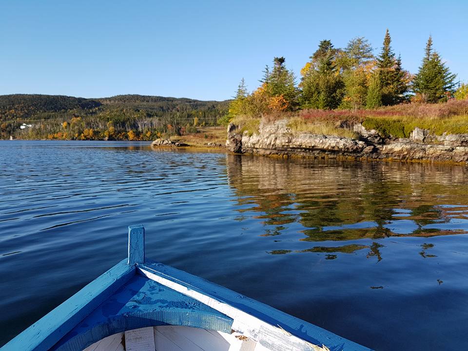 TheBroadcastCBC's tweet photo. Catering to #tourists and designing custom planned experiences in tucked away places. We'll hear from @ExperienceNL a boutique #travel agency crafting N.L. holidays. #tourism #ocean #hiking #fishing #icebergs #whales #boilups #explore Tune in @ 6:05/5:35 pm (Photo; Jane Adey/CBC) https://t.co/apE4bJDfPg