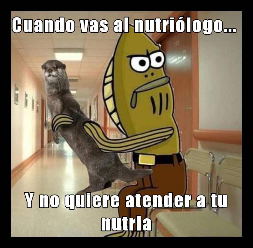 Me Las Sé Todas su Twitter: "Que poco profesionales... #nutria #nutriologo #memes #momos #aCompartirloNenes #meme #momo… "