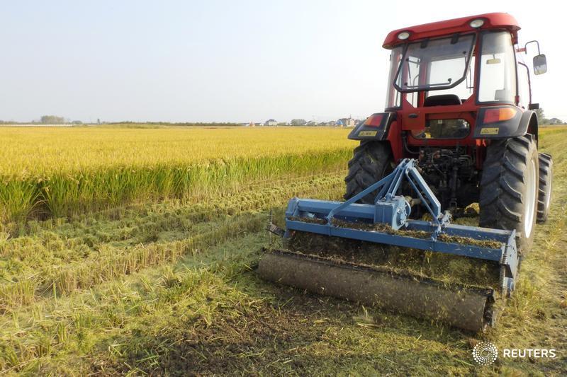 In the world's No.2 economy, a shift to automation is key to the farming sector as it grapples with an ageing rural workforce https://reut.rs/2Deah6w #WorldAtWork @Reuters