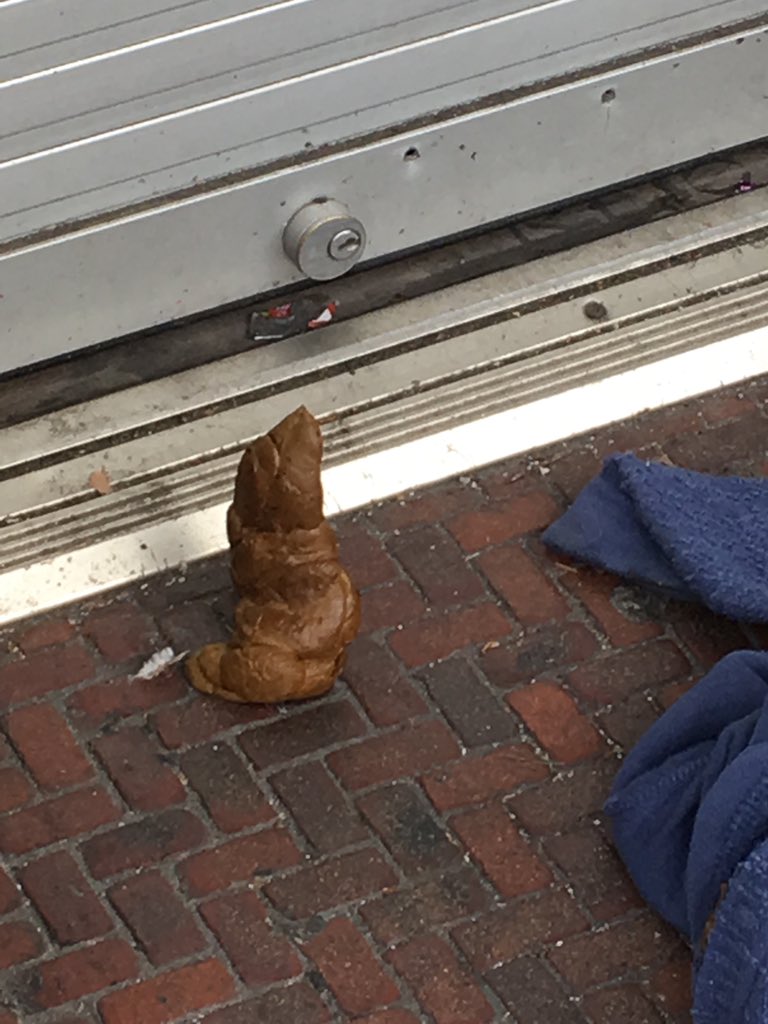 SoEssEff's tweet photo. @SFanon2 @MattHaneySF @LondonBreed @sfpublicworks I’ll never forget this image. #cityofpoop #dirtySF @RafaelMandelman https://t.co/WlIP3XH8rI