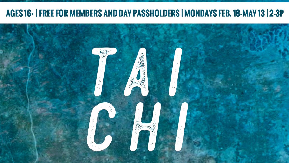 DasRecNB tweet media