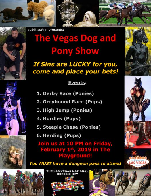 Only at Sin In the City:  The Dog and Pony Show!  I can't wait! https://t.co/YI7lWh7eEk<a href="/tag/worththetrip"class="tags"><span>#worththetrip</span></a>