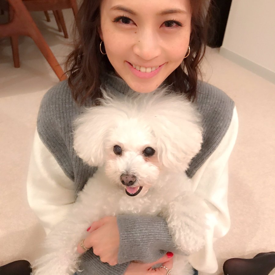 安田美沙子の愛犬って知ってる 安田美沙子の愛犬の犬種や名前を紹介 ワンコとhappy Life