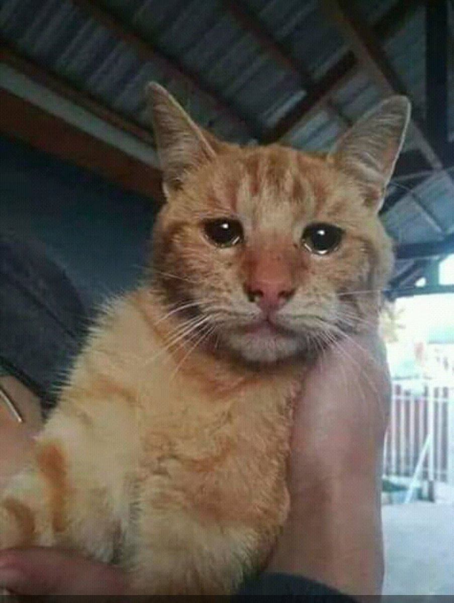 juanra18192321's tweet photo. Le estoy contando mi vida sentimental 🤷‍♂️🤦‍♂️🤦‍♂️ https://t.co/xvt719q1vn