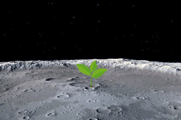 Is the Moon the next favorite glamping destination?

As Chinese are growing plant at the hidden face of the Moon maybe in a near future the Moon starts to be a more friendly place....

facebook.com/notes/luxury-g…

#glamping #luxurytravel 

Please RT

Shutterstock