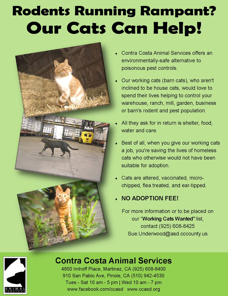 Ccanimalsrvs On Twitter Please Share This Flyer Far And Wide We