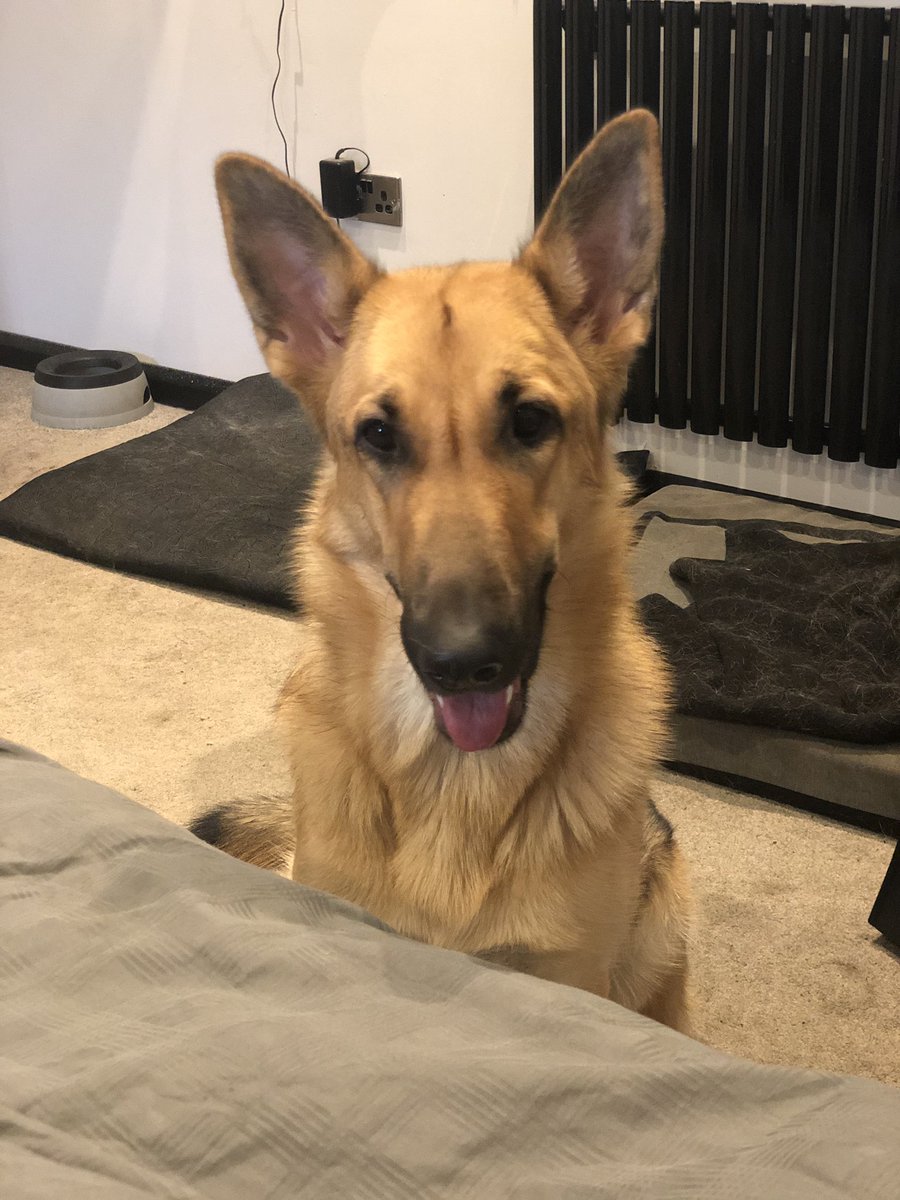 F11AST's tweet image. 🥰