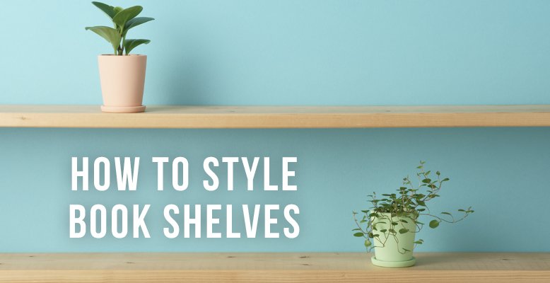 RCWilley's tweet image. How To Style Book Shelves | RC Willey Blog

rcwilley.com/blogs/Room-To-…

#rcwilleyblog #designtips #interiordesignbasics