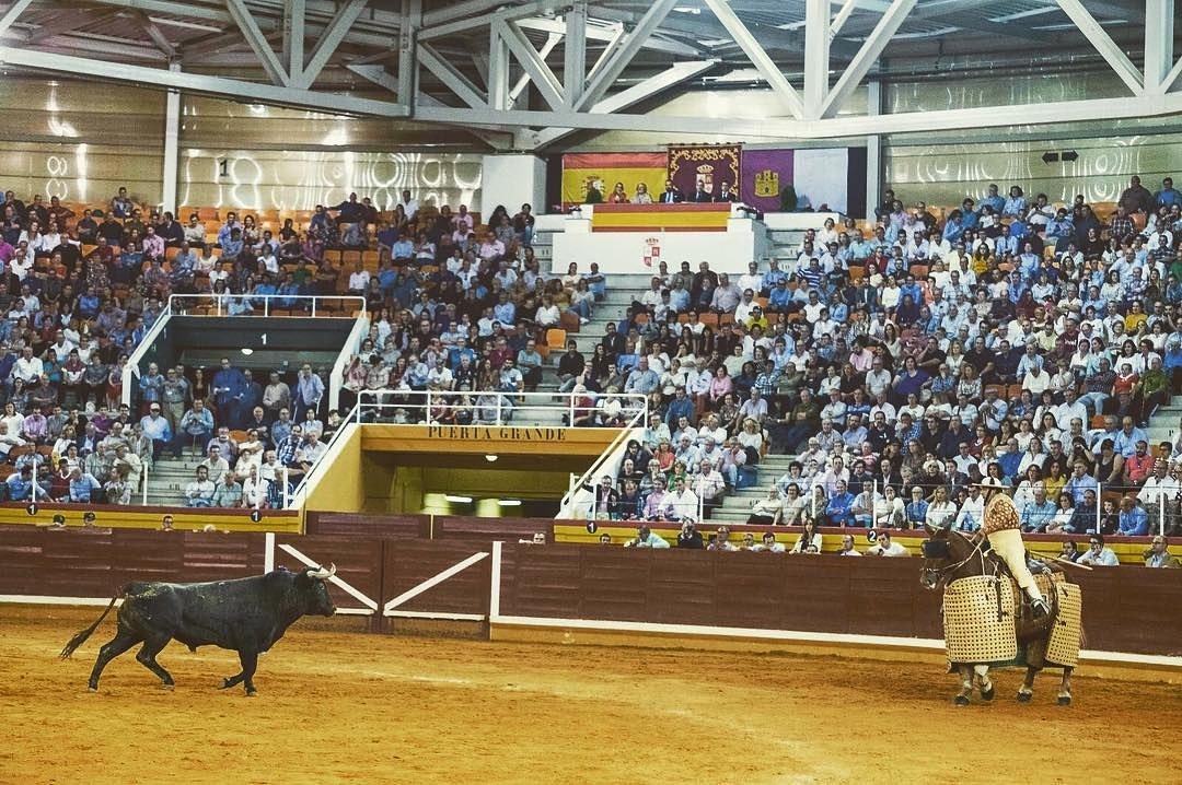 La suerte de varas #CorridaTotal 
Reposted from <a href="/macondouniversa/">Macondo Universal</a>

_ _ _ _ _ _ _ _ _ _ _ _ _ _ _ _ _ _ _ _ _ _ _ _ _ _ _ _ _ _ 
#Afitauro #Tauromaquia #Toreo #Toros #CampoBravo #HablemosDeToros #Cultura #Bullfight #Afición #CuandoLaAficiónSeConvierteEnPasión #Toros #Toreo #Bravura