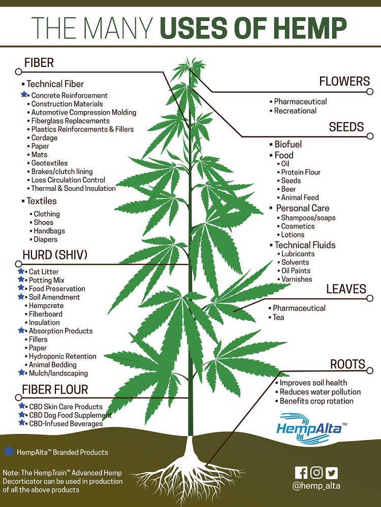hemp_alta photo