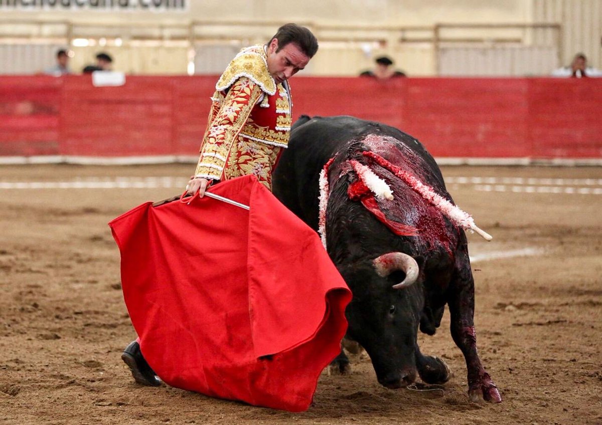 ntrtoros's tweet photo. #Moroleón 🇲🇽 Faena de calidad y clase del diestro valenciano Enrique Ponce con el abre plaza de nombre “Doctor”, de #Barralava. Corta una oreja #somosntrtoros #moroleón2019 #paltoro
📷 Manolo Briones / NTR Toros https://t.co/x9Z81omz9l