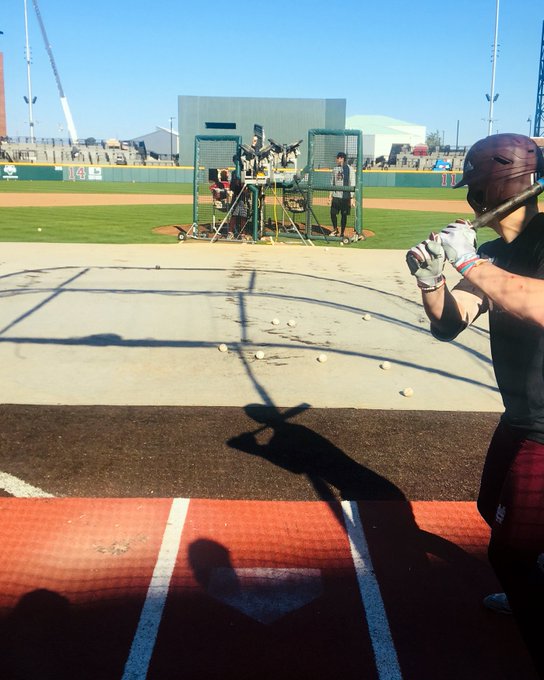 View image on Twitter