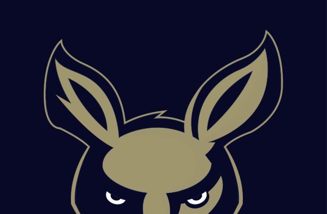 Austin Gussman tweet media