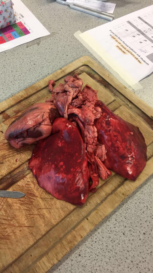 C Ní Dhúfaigh tweet media