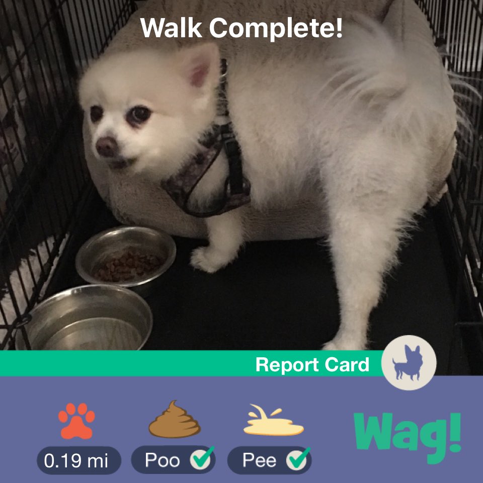 VastData's tweet image. Just finished a dog walk on Wag! Use my link wagwalking.app.link/Rbb4s67ZvT for $50 of FREE Wag credit!