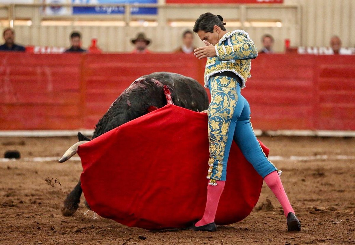 ntrtoros's tweet photo. #Moroleón 🇲🇽 Dos orejas para Diego Silveti tras una buena labor de capote y muleta ante “Misterioso”, de #Barralava, toro noble y con calidad, aplaudido en el arrastre, al que le cuajó series templadas #somosntrtoros #moroleón2019 #paltoro #silveti
📷 Manolo Briones / NTR Toros https://t.co/EO9x89DBOW