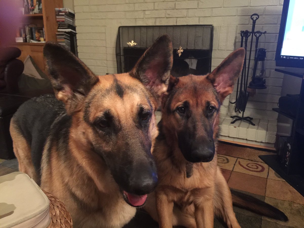 Popenfoose security systems are fully engaged.