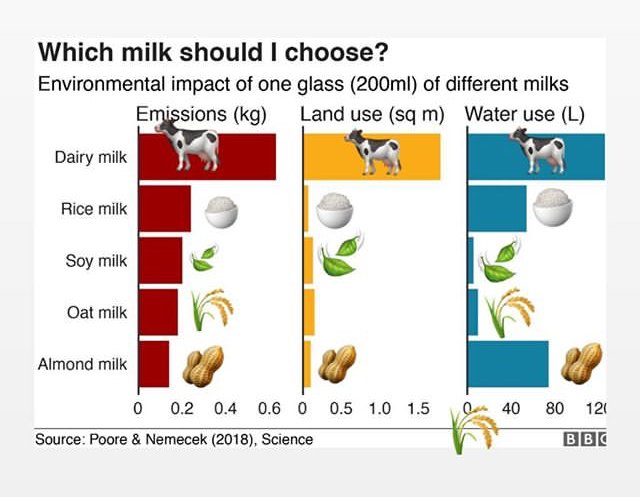 We need to ditch meat and dairy for a greener future #TonightVMTV