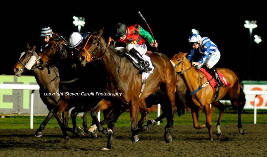 Steven_Cargill's tweet photo. 6th win for 4yo CHLOELLIE (Delegator) @davidprobert9 in 7f fillies handicap @kemptonparkrace tonight for trainer John Jenkins https://t.co/0G0r9TkiUo