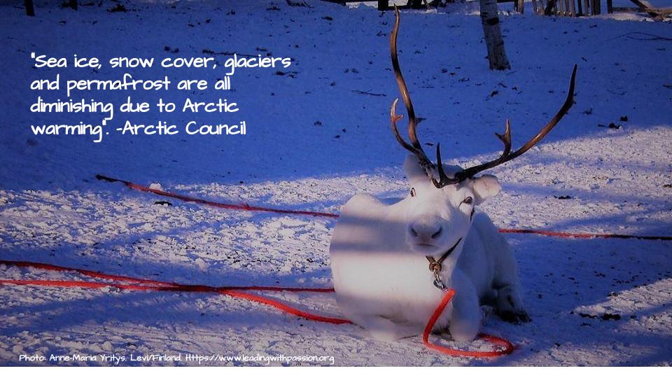 What are some of the many consequences of Arctic warming?
http://bit.ly/ARCTIC000
#climatechange #climateaction