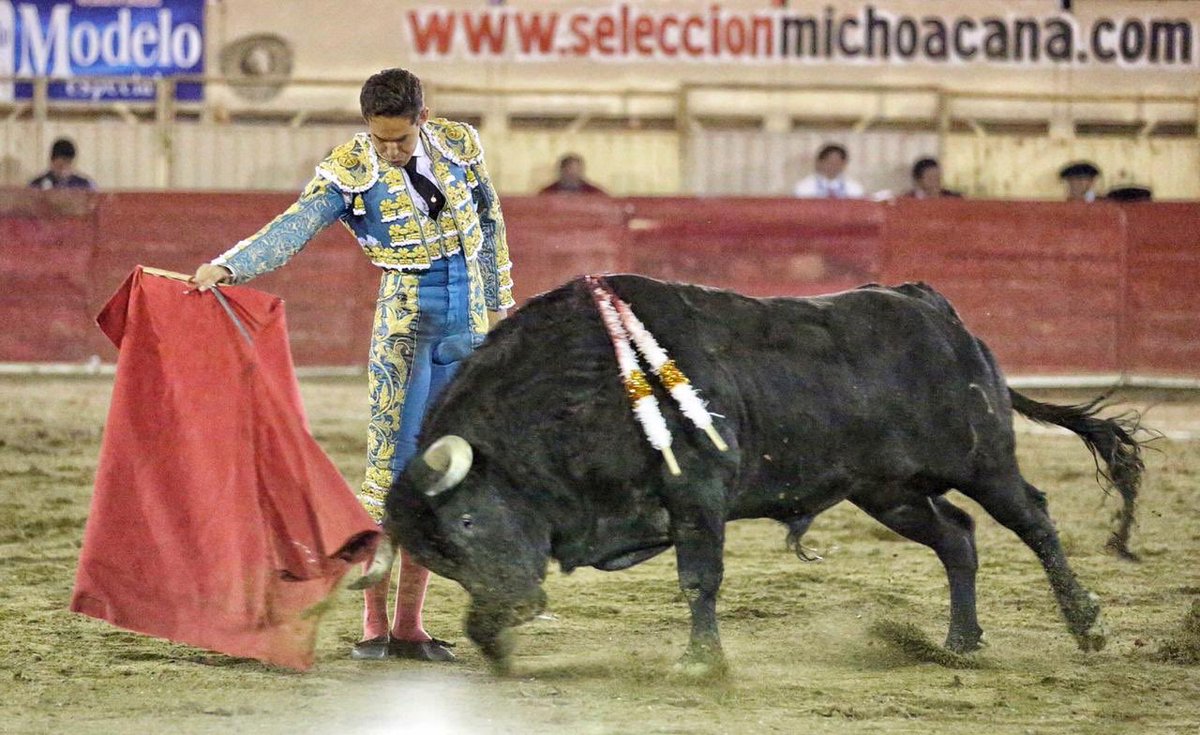 ntrtoros's tweet photo. #Moroleón 🇲🇽 Dos orejas para Diego Silveti que cuaja buena faena a “Don Juan”, de #Barralva, de buen juego, de arrastre lento. #somosntrtoros #moroleón2019 #paltoro #silveti
📷 Manolo Briones / NTR Toros https://t.co/eMy2hTd6P4
