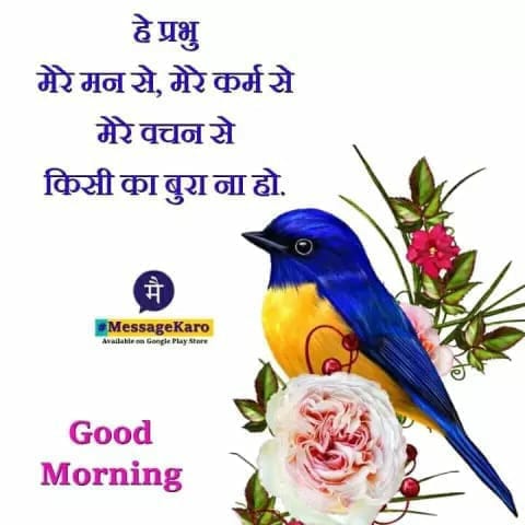 pratap_amita's tweet image. 