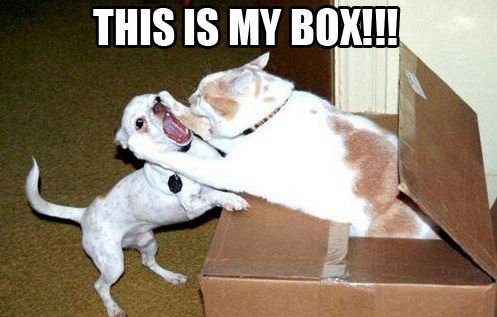 RADicalSystems's tweet photo. Rules for Movers with Pets

1.Don’t pack the cat and dog together
2.Ignore rule number 1…DON’T PACK YOUR PETS!

#selfstorage #moving #animalproblems https://t.co/lgUG8tXp4C