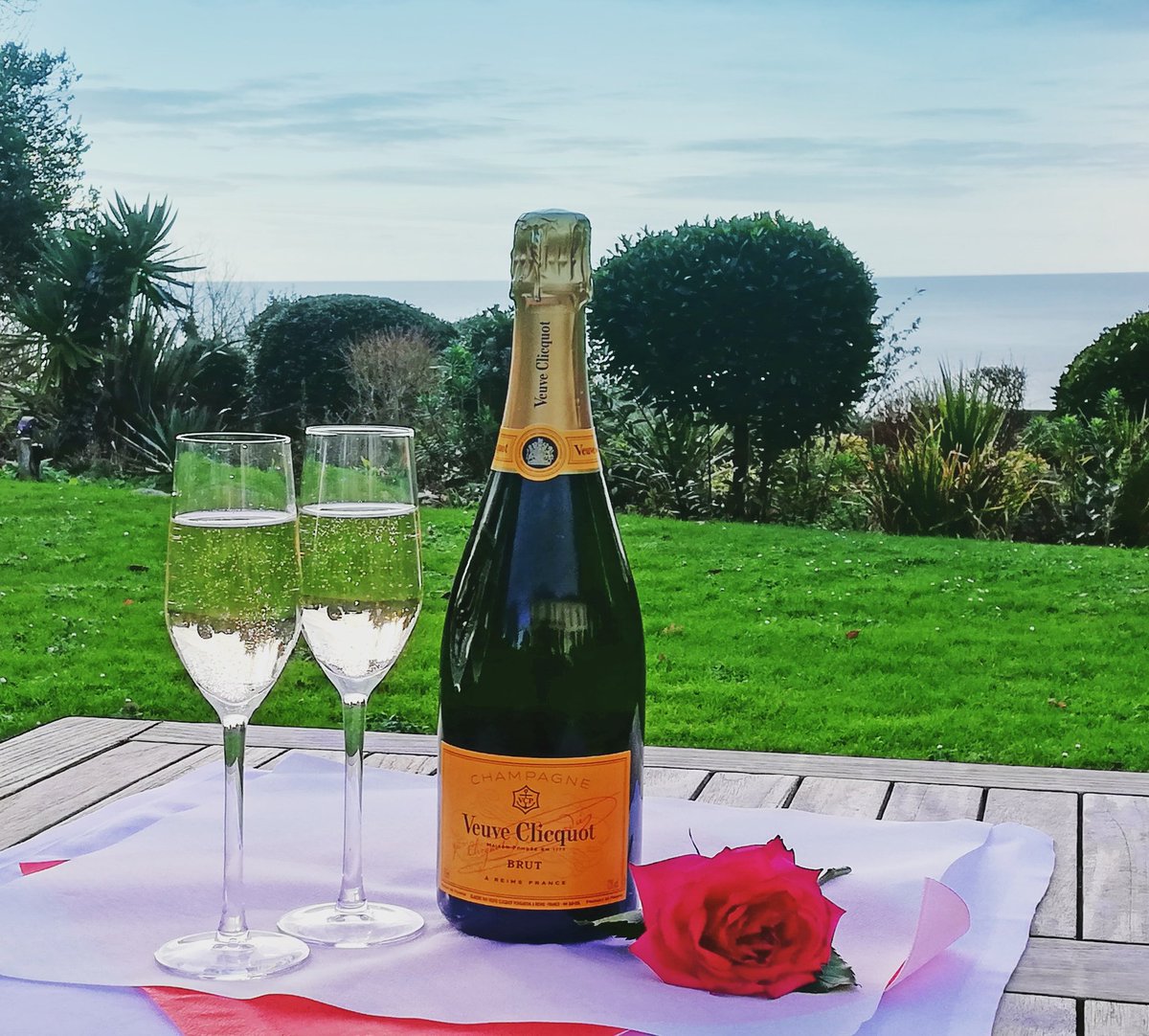 The Rosevine tweet media