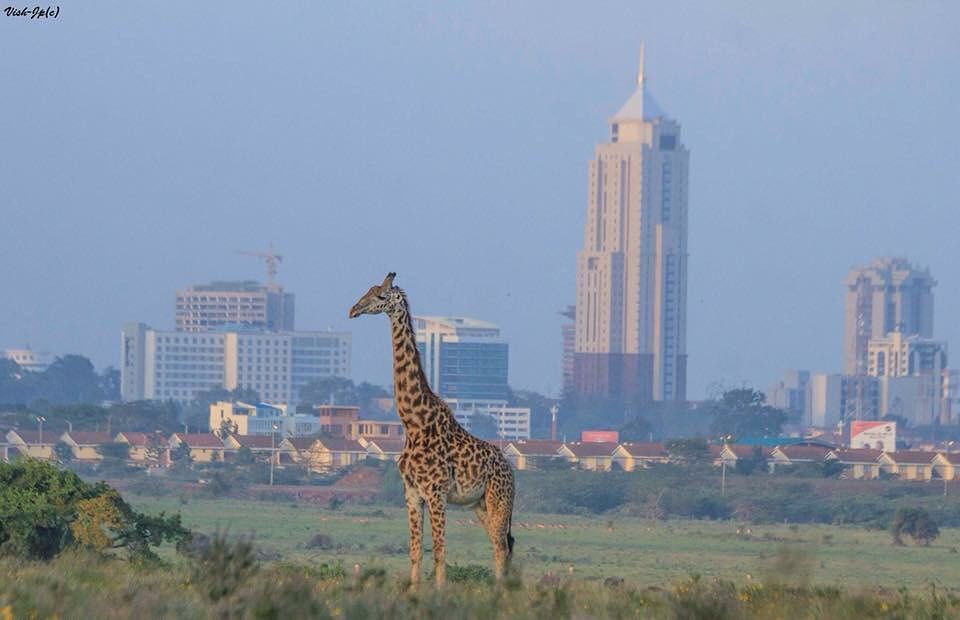 NajivuniaUkenya tweet picture