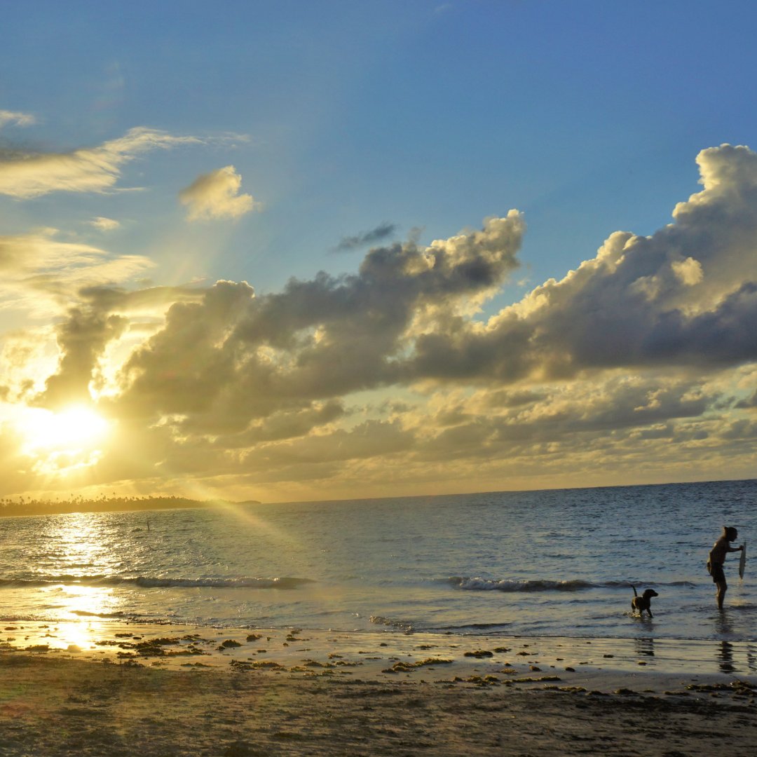 HelpPRCare's tweet photo. 🇵🇷 🌇🌅🌆 🇵🇷 
This photo was taken in @Dorado, Puerto Rico, where you can find beautiful hotels and beaches.  
.
📸 : LindsayeGordon 
.
.
.
.
#vacationonourisland #helppr #amazingsunsets #puertoricoisbeautiful #somewhereinpuertorico #puertoricoisstrong #amazingview https://t.co/ZevmYJIpLY