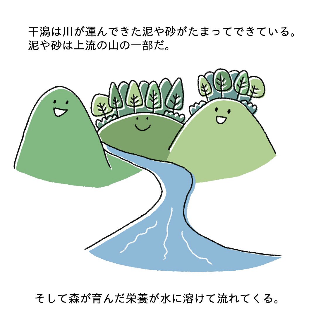 干潟の生態系①
ヘラシギの大切な中継地である干潟の生態系について考えてみました。
干潟が埋め立てられると困るのは水鳥だけではないはず。

#埋め立て反対 #ヘラシギ #イラスト好きな人と繋がりたい #野鳥 #環境問題 #学校では教えてくれないこと #イラスト #生態系 #干潟 
