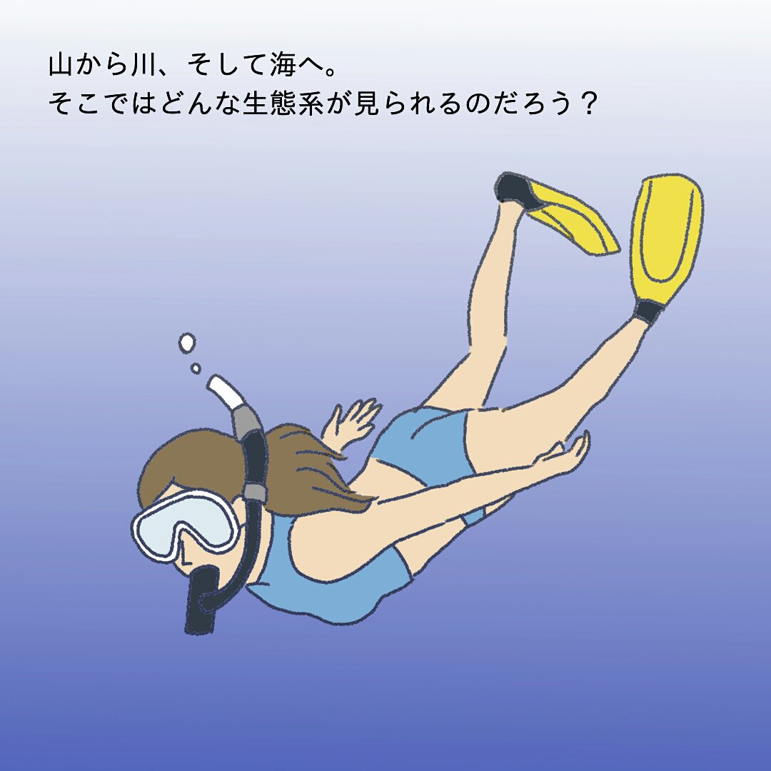 干潟の生態系①
ヘラシギの大切な中継地である干潟の生態系について考えてみました。
干潟が埋め立てられると困るのは水鳥だけではないはず。

#埋め立て反対 #ヘラシギ #イラスト好きな人と繋がりたい #野鳥 #環境問題 #学校では教えてくれないこと #イラスト #生態系 #干潟 