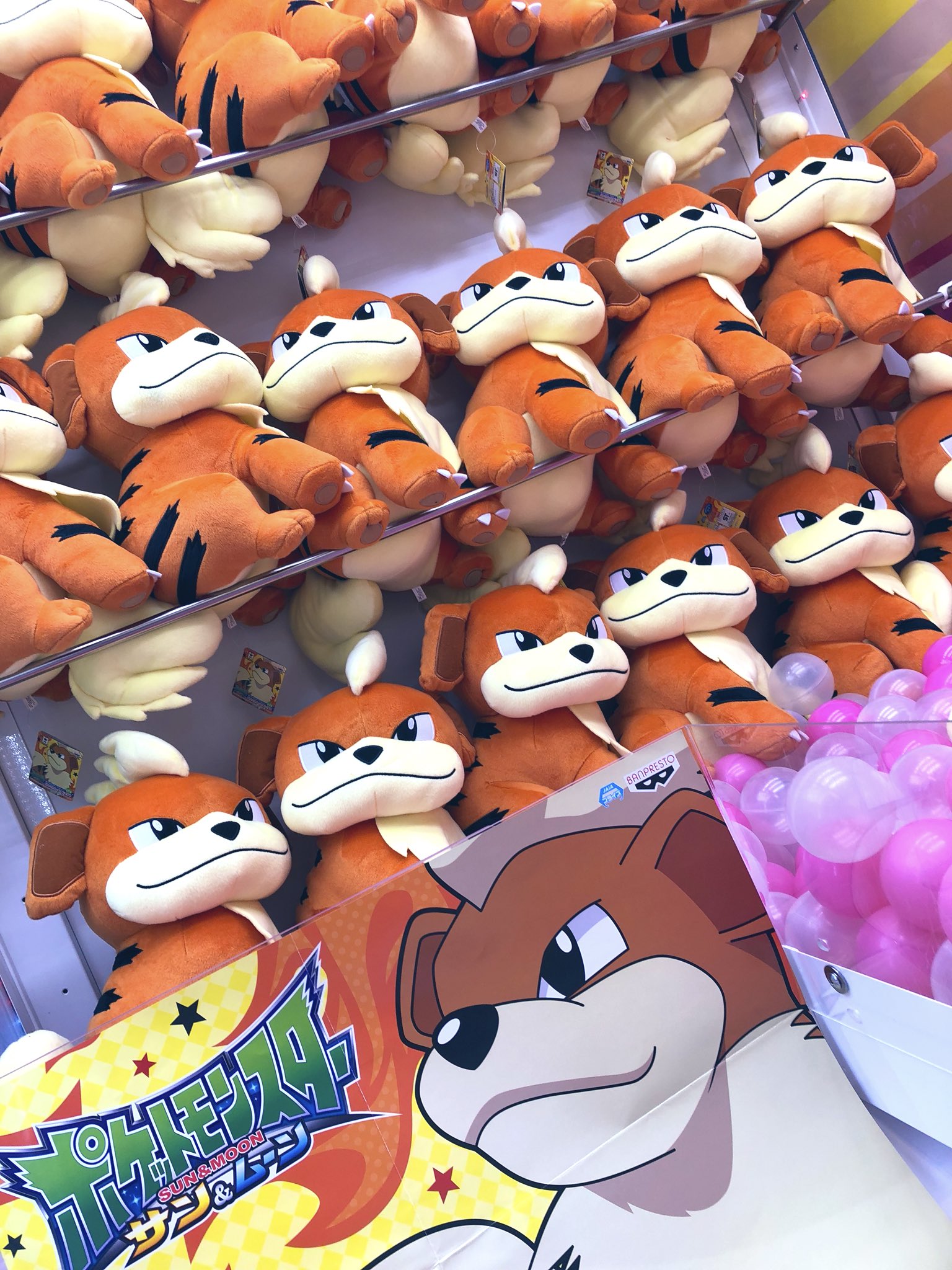 Gao歌舞伎町店 Amufun直営店 Sur Twitter 全世界のガーディファンの皆様に朗報です ポケットモンスター めちゃでか ぬいぐるみ ガーディ 入荷しましたよ 側に置くと アニメのジュンサーさん気分が味わえますね Gao歌舞伎町店