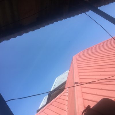 bridgebeeper's tweet image. #NewProfilePic