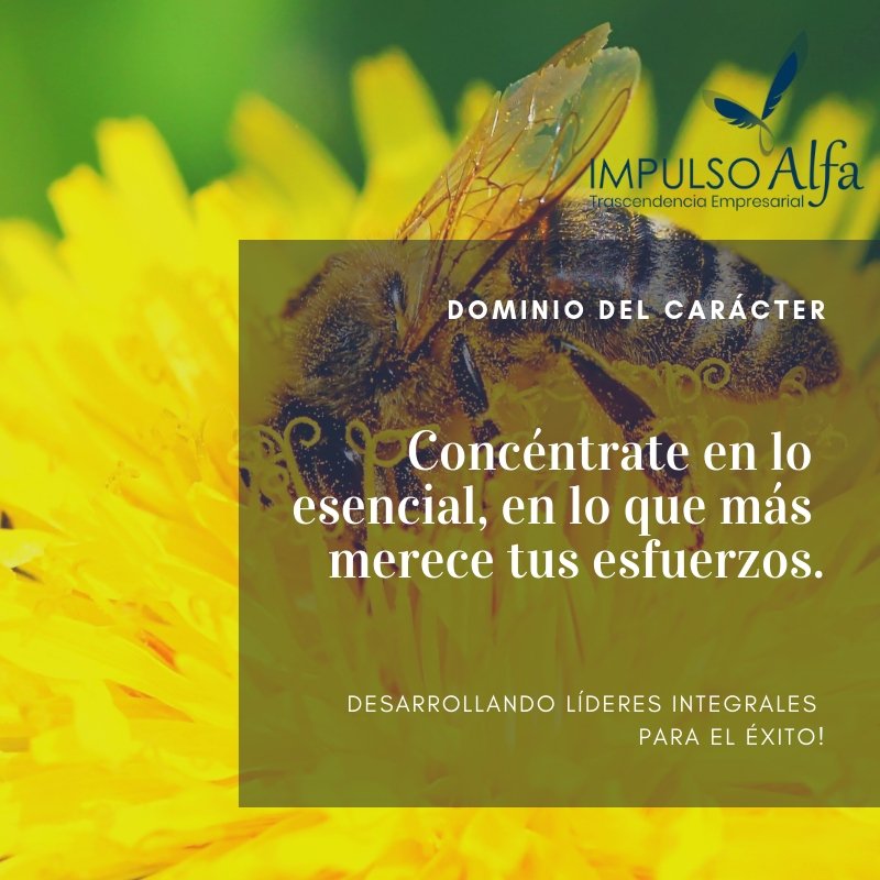 ImpulsoAlfa's tweet image. Dominio del Carácter

#IMPULSOALFA Desarrollando Líderes para el Éxito!!

#Liderazgo #LiderConectado #Emprendedores