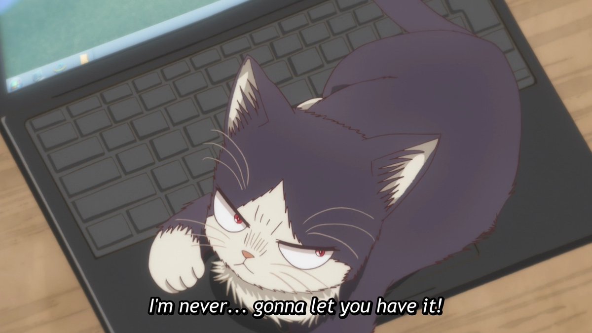 Appare-Josei! on Twitter: "My Roommate is a Cat, a new anime streaming on  Crunchyroll!… "