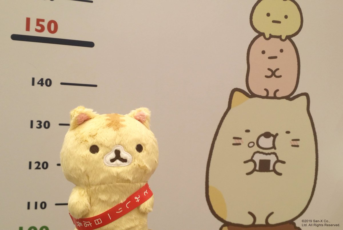 コロニャの ユニクロ吉祥寺店 店長活動記