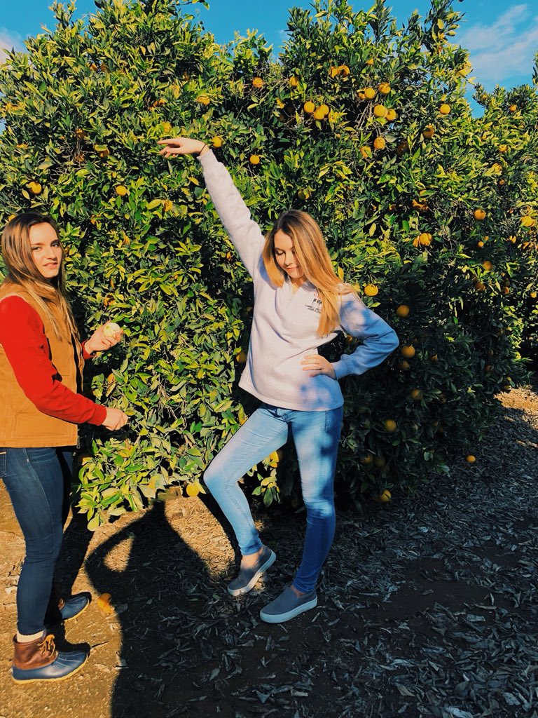 KylieLehr's tweet photo. Personality Pic https://t.co/R40H04lJRy