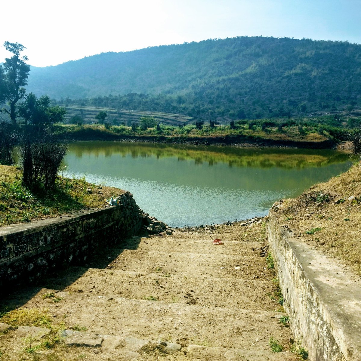 93Vigneshviki's tweet photo. #Sathyamangalam
#reservedforest
#Kadampur https://t.co/msNtmM2e5V